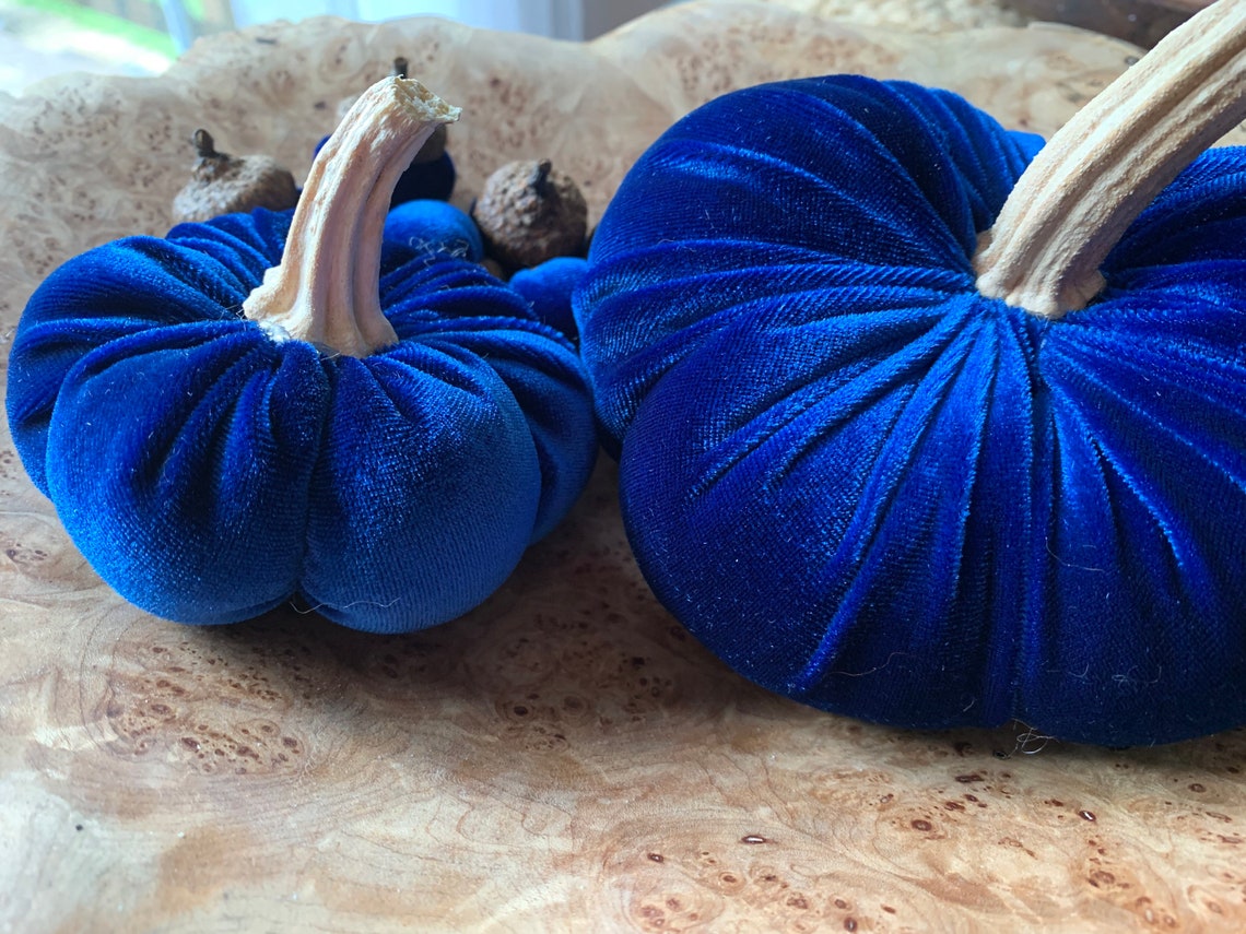 Navy velvet pumpkins with real stems velvet acorns Etsy
