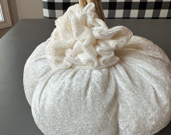 May include: A white velvet pumpkin with a brown, twig-like stem. The pumpkin is sitting on a gray surface.