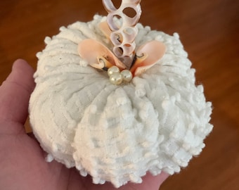May include: A white fabric pumpkin with a textured surface, decorated with seashells and pearl beads.