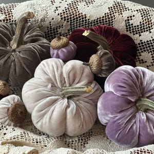 Silk Velvet Pumpkins with Real Stems & Acorns: Fall Decor, Set of 4