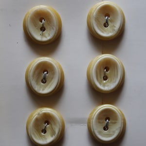 Può includere: Sei bottoni in plastica color avorio con una superficie testurizzata e un gambo argentato. I bottoni sono disposti in due file da tre su una carta bianca con la scritta "Guaranteed Washable" stampata su di essa.