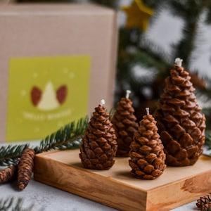Pine Cone Candles, Christmas Candle, Holiday Decor, Winter Home Decor, Christmas Tabel Decor, Gift Candle