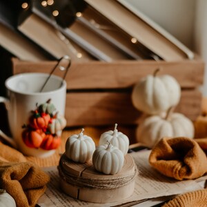 K&ouml;nnte beinhalten: Ein gem&uuml;tliches Herbst-Stillleben mit wei&szlig;en K&uuml;rbissen, einer Tasse mit K&uuml;rbisillustrationen und einem Stapel B&uuml;cher. Die K&uuml;rbisse sind auf einem Holzsockel und einem Pullover angeordnet. Die Szene ist in warmes, einladendes Licht getaucht.