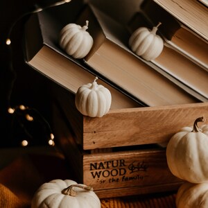 K&ouml;nnte beinhalten: Ein Stillleben mit wei&szlig;en K&uuml;rbissen, B&uuml;chern und einer Holzkiste. Die K&uuml;rbisse sind klein und rund. Die B&uuml;cher haben cremefarbene Seiten. Eine warme, orangefarbene Decke sorgt f&uuml;r eine gem&uuml;tliche Atmosph&auml;re. Auf der Holzkiste steht "NATUR WOOD for the family".