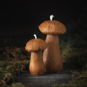 May include: Two brown mushroom-shaped candles with white wicks. The candles have a textured surface and are set against a dark background with moss. The larger candle is approximately 13 cm tall, and the smaller one is about 8 cm tall.
