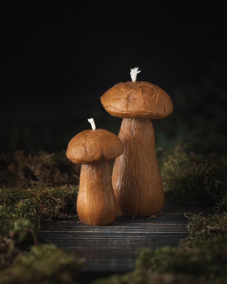 May include: Two brown mushroom-shaped candles with white wicks. The candles have a textured surface and are set against a dark background with moss. The larger candle is approximately 13 cm tall, and the smaller one is about 8 cm tall.