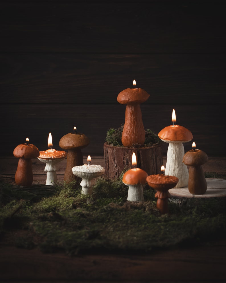 May include: A selection of mushroom-shaped candles with lit wicks. The candles are in various colours, including brown, orange, and white, and are displayed on green moss. Some candles are on a wooden base.