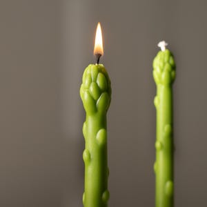 以下が含まれることがあります： 2本の緑色の、アスパラガスの形をしたキャンドル。1本は炎で灯り、もう1本は灯っていません。キャンドルは質感のある表面で、ニュートラルな背景に配置されています。キャンドルはユニークな装飾品です。