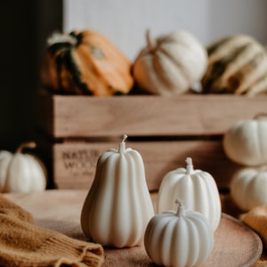 May include: A collection of white pumpkin-shaped candles and gourds in various sizes. Some candles are on a wooden tray, while others are in a wooden crate. The gourds are orange, green, and white.