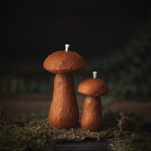 May include: Two brown mushroom-shaped candles with white wicks. The candles are different sizes, with the larger one on the left. They are set on green moss, against a dark background.