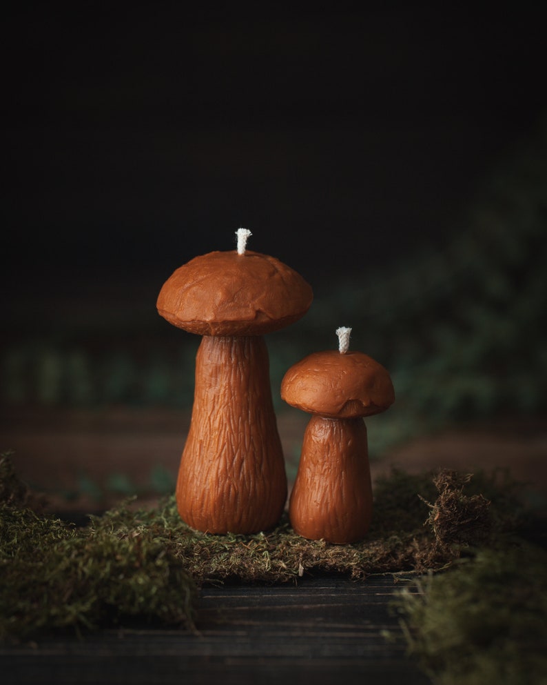 May include: Two brown mushroom-shaped candles with white wicks. The candles are different sizes, with the larger one on the left. They are set on green moss, against a dark background.