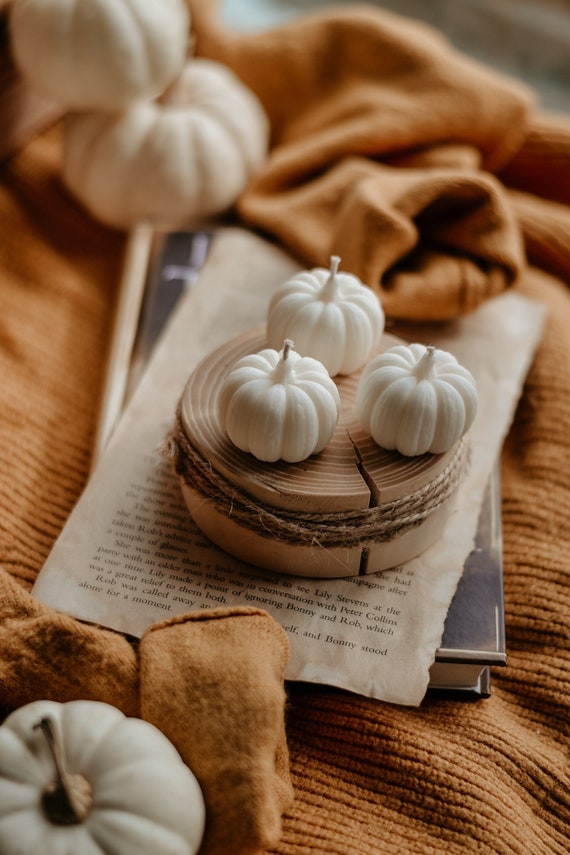 Pumpkin Candles, Fall Decor, Pumpkin decor, Halloween Pumpkin Candle, Fall Candle, Autumn Candle, White Pumpkin, Gift for Halloween