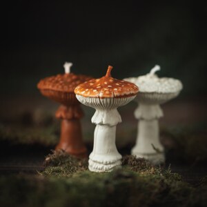 May include: Three mushroom-shaped candles in shades of brown, white, and orange with white spots. The candles are placed on green moss, creating a whimsical, natural aesthetic. The candles have a detailed, textured design.