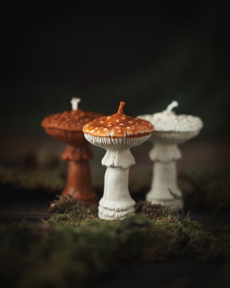 May include: Three mushroom-shaped candles in shades of brown, white, and orange with white spots. The candles are placed on green moss, creating a whimsical, natural aesthetic. The candles have a detailed, textured design.