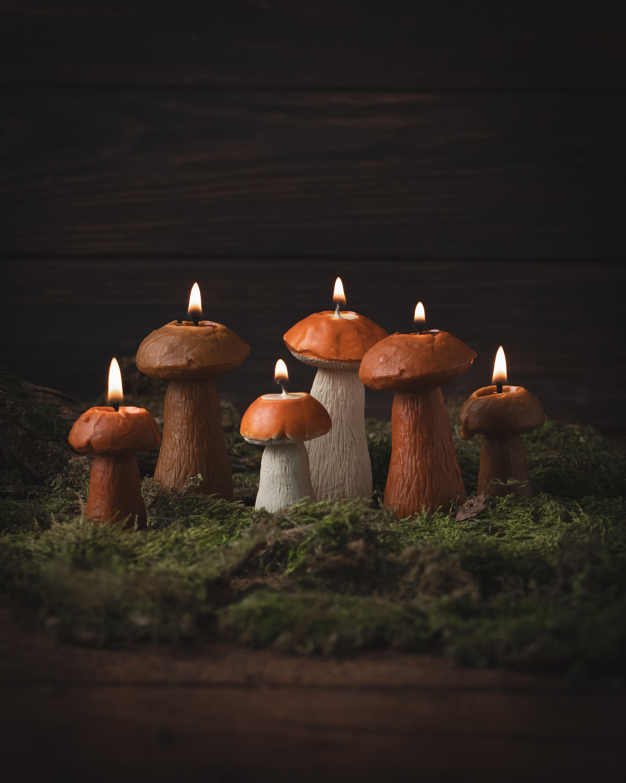 Mushroom Candles, Mushroom Decoration, Autumn Decor, Home Decor, Beeswax Candles, Gift for Mom, Gift for Friend, Forest Candle