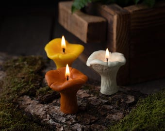 May include: Three mushroom-shaped candles with lit wicks. One is yellow, one is orange, and one is white. They sit on a moss-covered log. A wooden box with greenery is in the background.