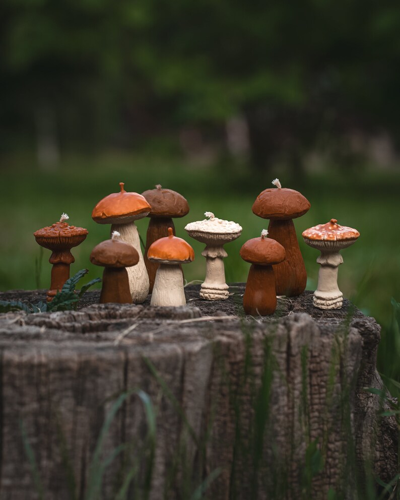 May include: A selection of decorative mushroom ornaments in shades of brown, orange, and white. The fungi are displayed on a weathered tree stump, set against a blurred green backdrop.