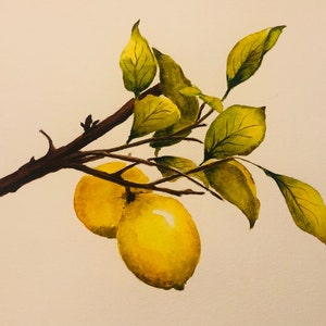 Original watercolor painting lemmon branch
