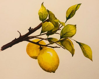 Original watercolor painting lemmon branch