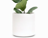 Terracotta Plant Pot - Large Clay Planter (12 quot , 10 quot , 8 quot or 6 quot ) - Indoor Flower Pot, Plant Container White, Black, Blush or Bronze