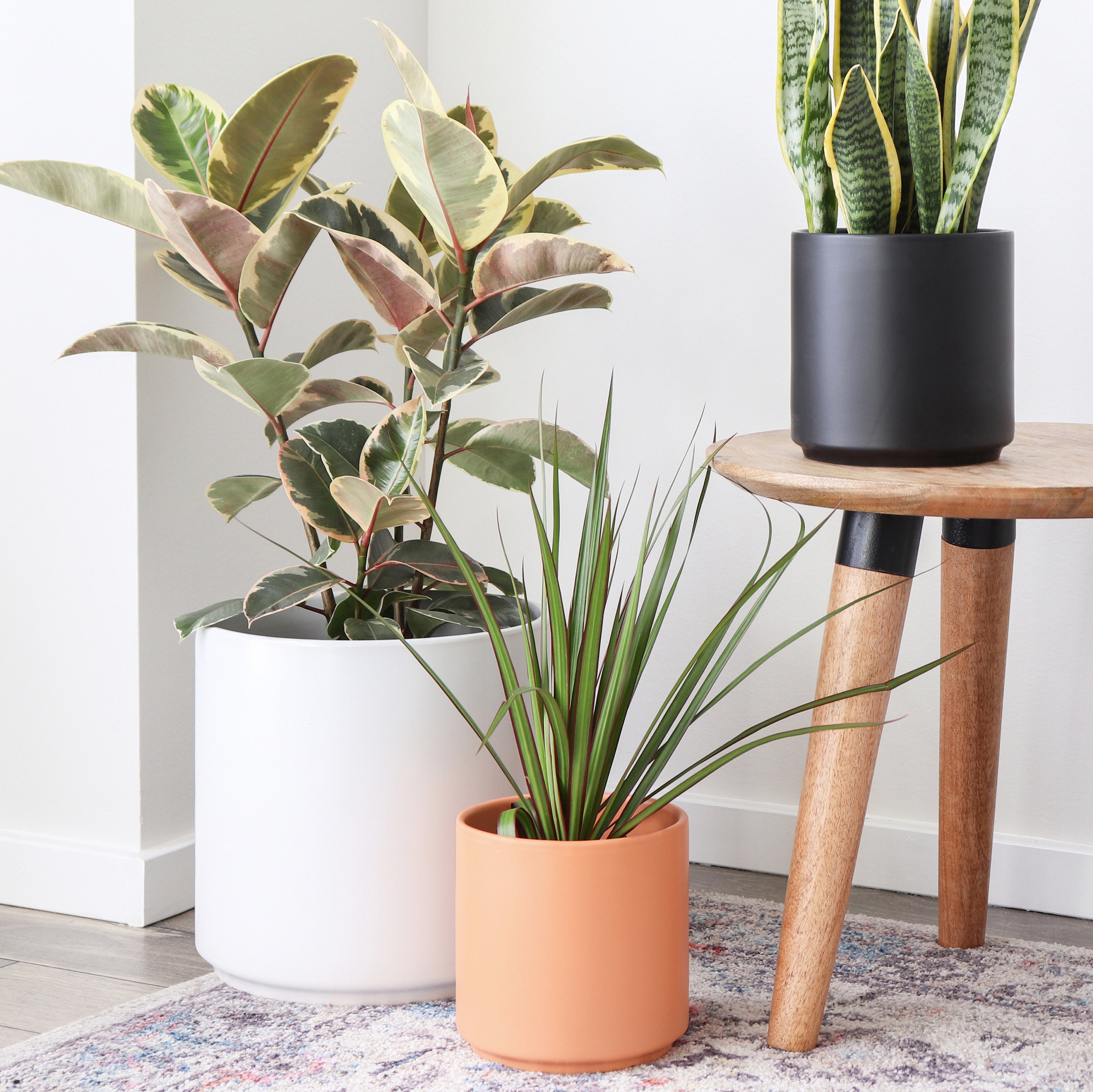 PEACH & PEBBLE 7 Set of Two White Contour Ceramic Planter and Plant Stand Ceramic Plant Pot and Wood Plant Stand Set. PEACH & PEBBLE 7 Set of Two White Contour Ceramic Planter and Plant Stand Ceramic Plant Pot and Wood Plant Stand Set.