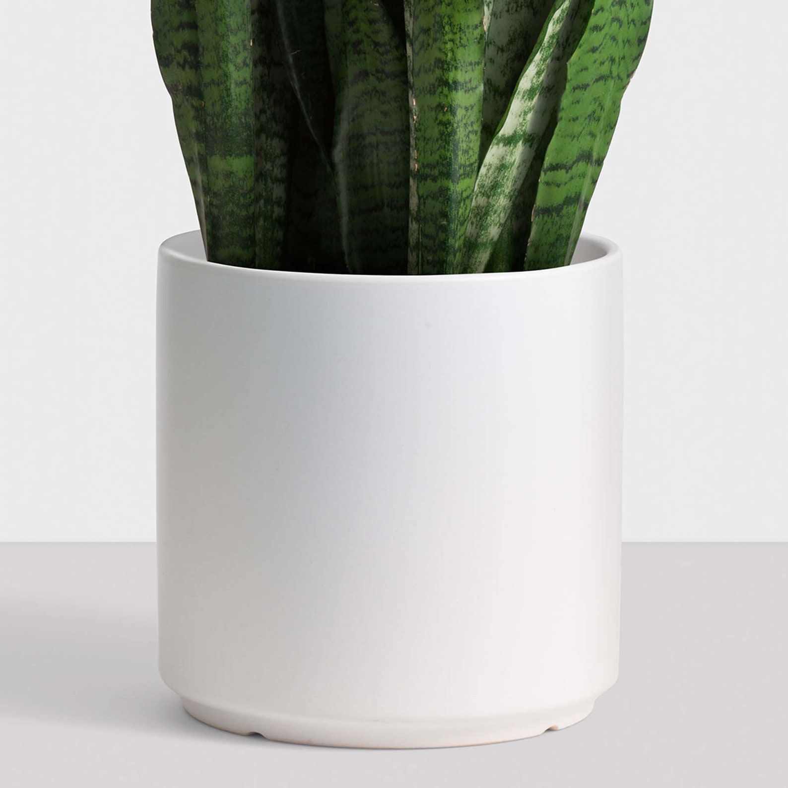 Porcelain ceramic indoor planter. Kiln fired and hand glazed. Etsy