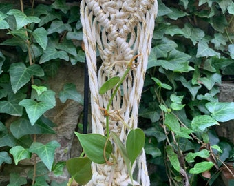 macrame plant hangers for cuttings/propagation