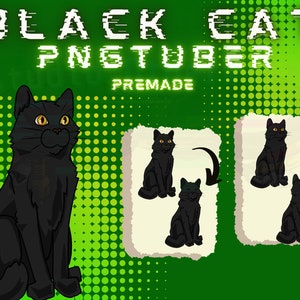 Simple Realistic Black Cat 2D Vtuber PNGtuber Model | Lofi Avatar for OBS Veadotube Twitch or Youtube | Voice Reactive Image Twitch Asset