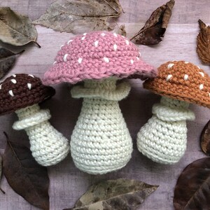 May include: Three handmade crochet mushrooms in varying colors: brown, pink, and orange. Each mushroom has a white stem and white polka dots on the cap. The mushrooms are arranged on a wooden surface with dried leaves.