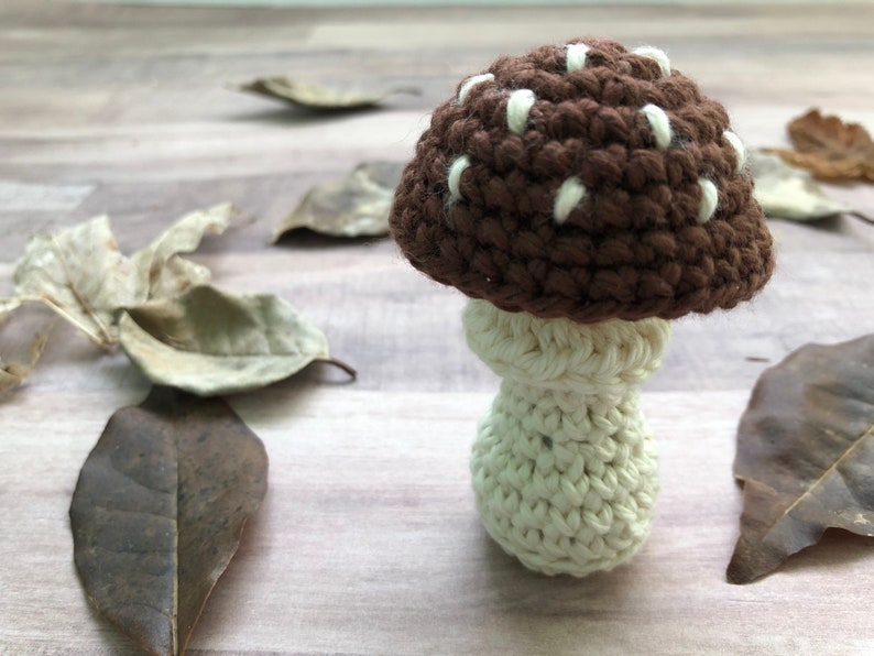 May include: A handmade crochet mushroom with a brown cap and white spots, atop a cream-colored stem. The mushroom is set against a backdrop of dried leaves on a wooden surface, creating a rustic, autumnal aesthetic.
