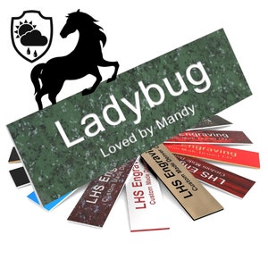 May include: A green, marbled, rectangular sign with the text "Ladybug" and "Loved by Mandy". The sign is surrounded by several smaller signs with the text "LHS Engraving" and "Custom Made Denver CO".