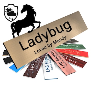 May include: A gold metal plaque with the text "Ladybug Loved by Mandy" and a black silhouette of a horse. The plaque is surrounded by several smaller plaques with the text "LHS Engraving Custom Made Denver CO" in various colors.
