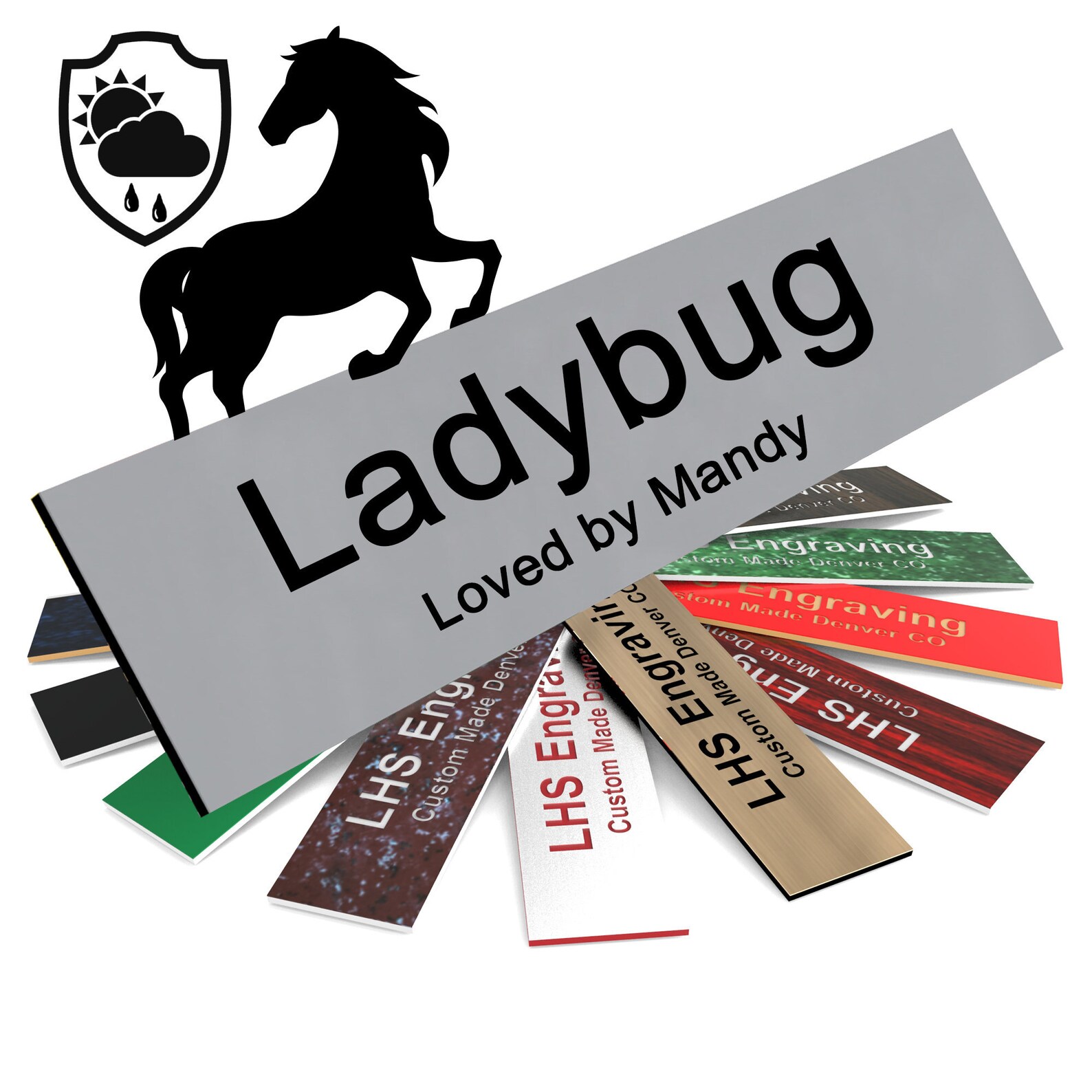 Personalized Horse Stall Name Plate All Weather Stable Sign Etsy