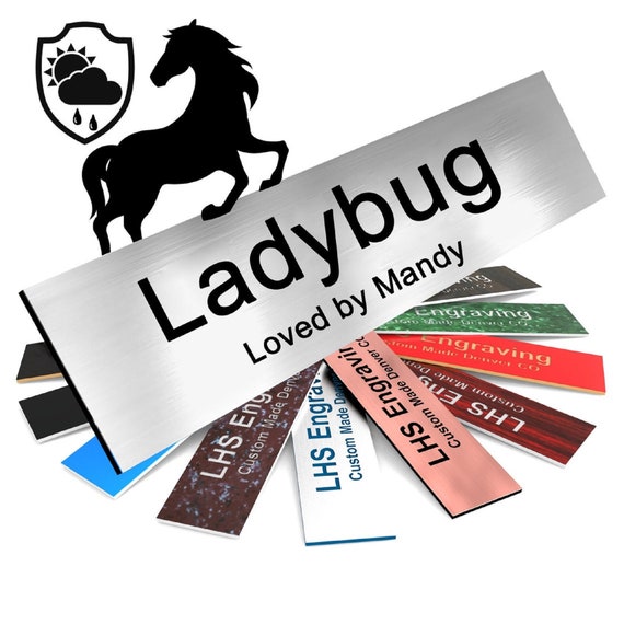 Personalized Horse Stall Nameplate: Brushed Silver Stable Sign