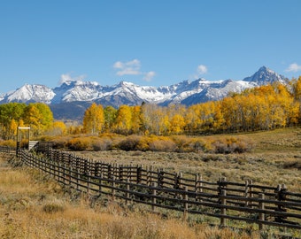 fall aspen trees with snow capped peaks at Dallas Divide in San Juan Mountains of Colorado photograph