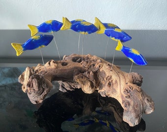 Maritime Skulptur mit Fischschwarm (7 Fische) auf einer Mopaniwurzel