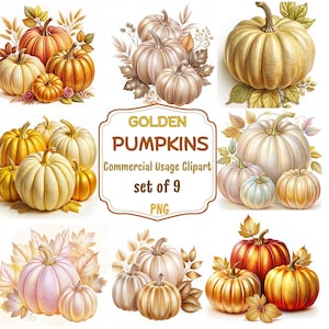 May include: Set of nine digital clipart images of golden pumpkins with fall leaves. The images are in PNG format and are for commercial use.