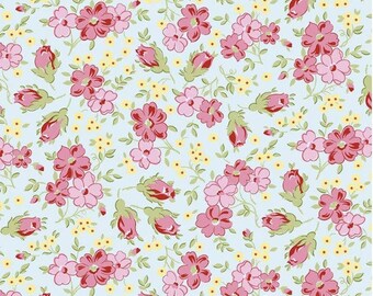 Sugar And Spice Floral  Aqua C11411r-aqua Cotton Quilting Fabric 1/2 Yard