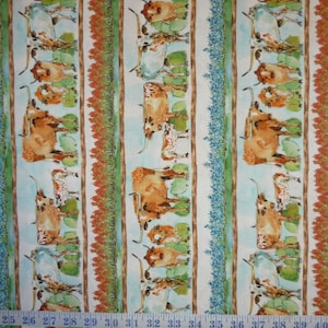 Texas Longhorn Cows Decorative Stripe Cotton Quilting Fabric 1/2 YARD