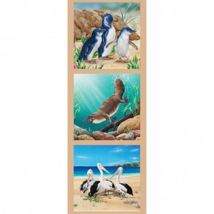 May include: A collage of three images featuring Australian wildlife. The top image shows three little penguins on a sandy beach. The middle image shows a platypus swimming underwater. The bottom image shows three pelicans on a sandy beach.