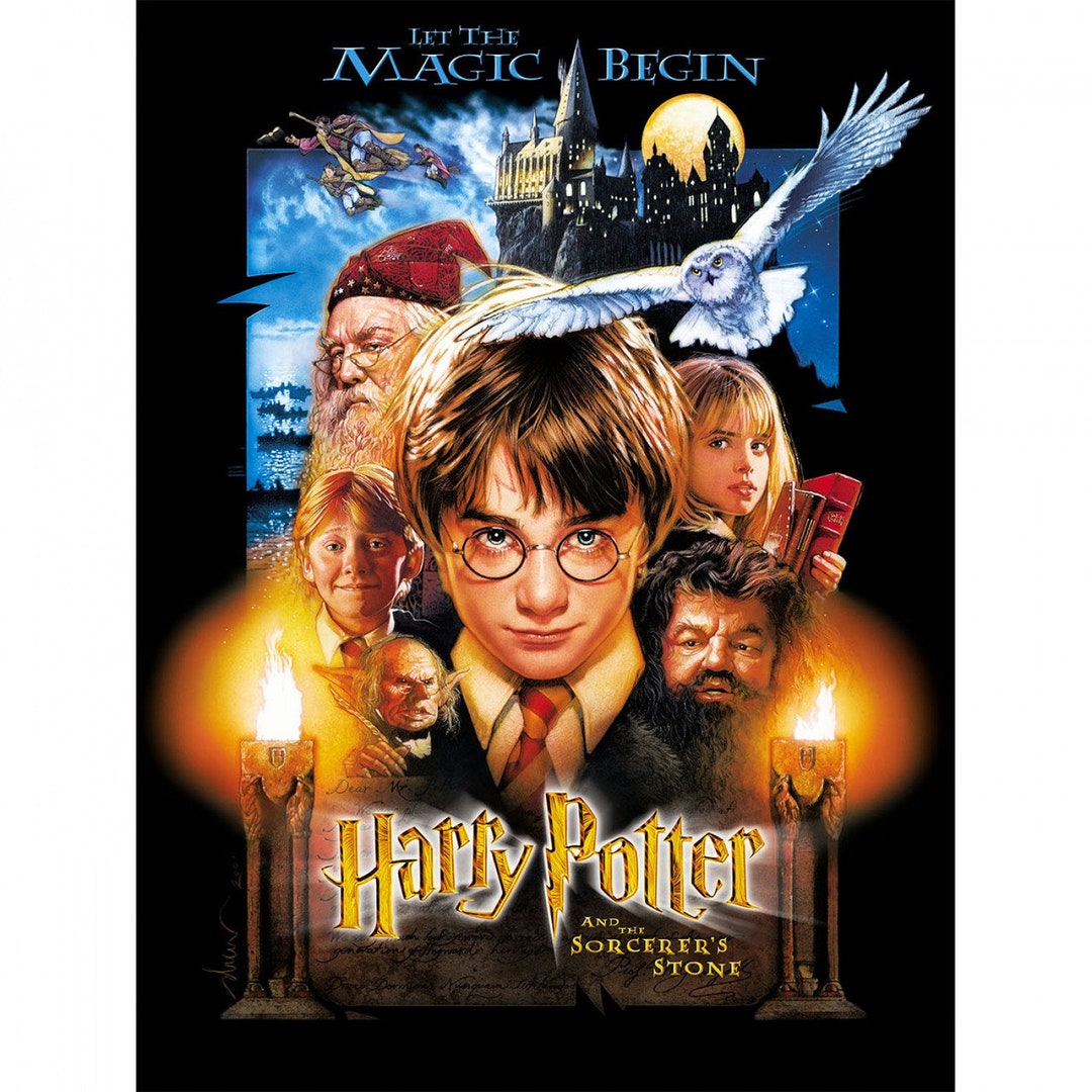 Harry Potter Group Shot Multi 2380004PM-1 MINKY Fabric X Large