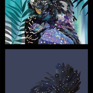 Botanische Vögel australischen schwarzen Kakadus DV3477 Baumwolle Quilten kleine Panel