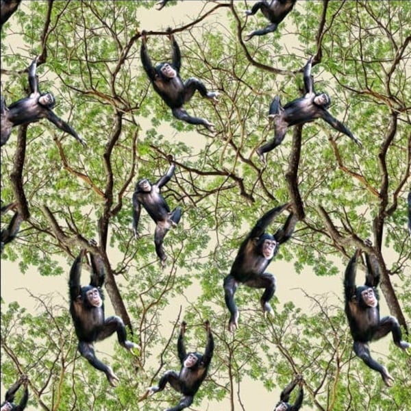 African Safari Chimpanzee Jungle 0223O Cotton Quilting Fabric 1/2 YARD