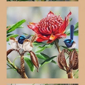 Petit panneau de tissu de courtepointe en coton Waratah, oiseaux d&#39;art animalier australien