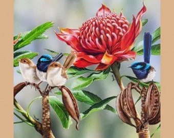 Australische Tierwelt Kunst Vögel Waratah Baumwolle Quilten Stoff kleine Panel