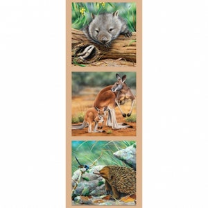 Könnte beinhalten: Eine Collage aus drei Bildern mit australischen Wildtieren. Das obere Bild zeigt ein graues Wombat mit einer braunen Nase und schwarzen Augen. Das mittlere Bild zeigt ein rotes Känguru mit einem Jungtier im Beutel. Das untere Bild zeigt ein braunes Echidna mit einer langen Schnauze und einem blauen Vogel.