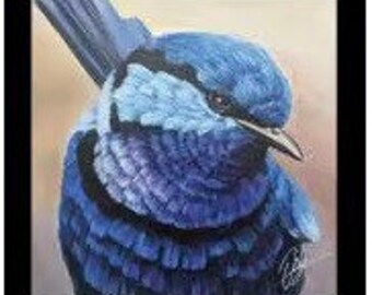 Australian Wildlife Kookaburra Blue Wren Galah Chris Riley DV3913 Tecido de algodão para quilting Painel pequeno