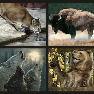 Pode incluir: Uma colagem de quatro imagens que apresentam diferentes animais em seus habitats naturais. A imagem superior esquerda mostra um puma marrom bebendo de um riacho. A imagem superior direita mostra um bisão marrom em pé em um campo. A imagem inferior esquerda mostra dois lobos uivando para a lua. A imagem inferior direita mostra um urso marrom em pé em uma floresta.