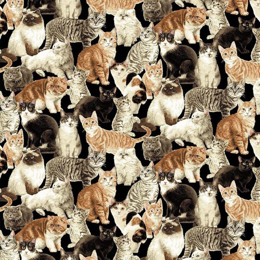 Cat Tales Library Cats Black Multi 24527-99 Cotton Quilting Fabric 1/2 ...