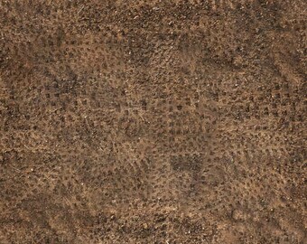 Motocross Maniacs Dirt Bikes Dirt Blender 1137O Baumwollstoff Quilten 1/2 YARD